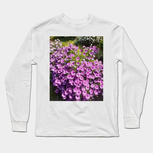 Purple Daisy Daisies Pretty Long Sleeve T-Shirt by SarahRajkotwala